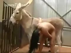 Irrumation on a donkey by a Latina